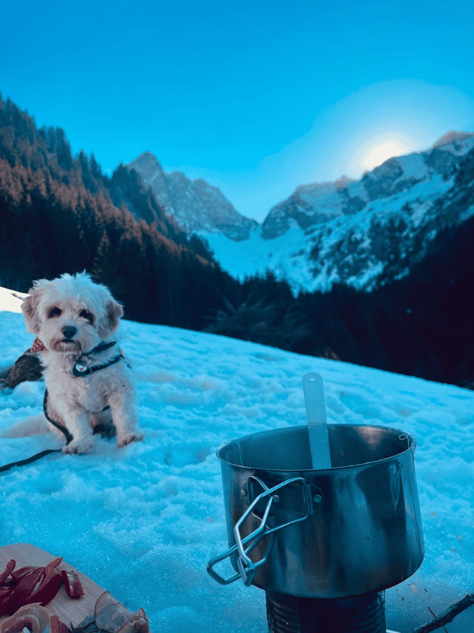 Untitled design-53-1