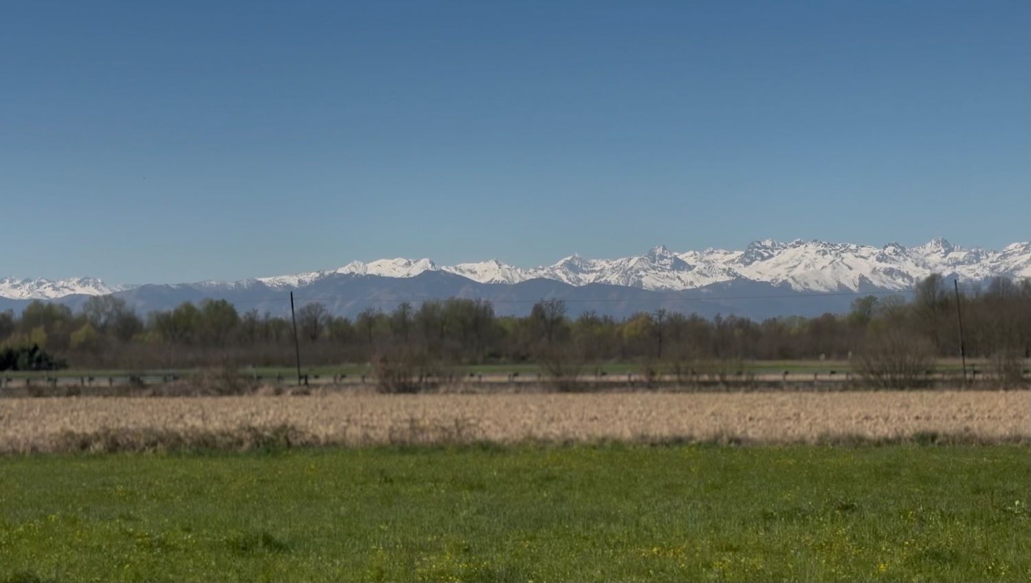 tempImageiaOlu6
